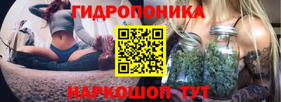 mdpv Будённовск