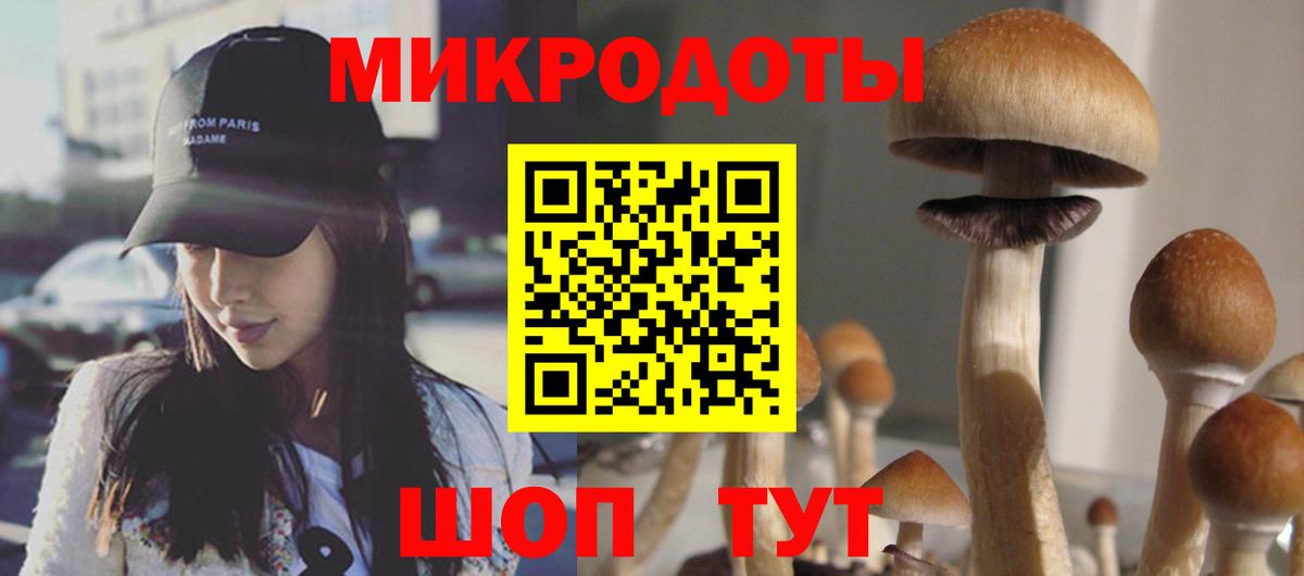 Можга  Галлюциногенные грибы прущие грибы  Вход с VPN 